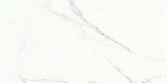 Classica Bianco Matt 292mm x 592mm