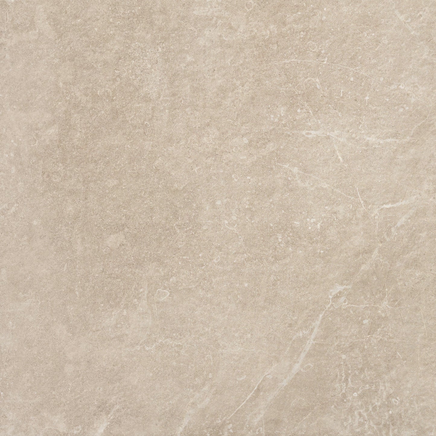 Immortal Taupe 300mm x 600mm