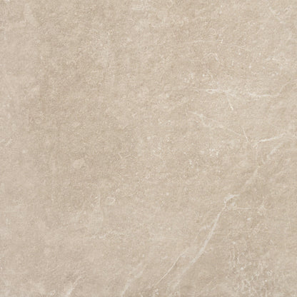 Immortal Taupe 300mm x 600mm