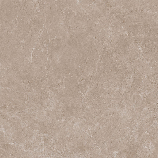 Lola Taupe 292mm x 592mm